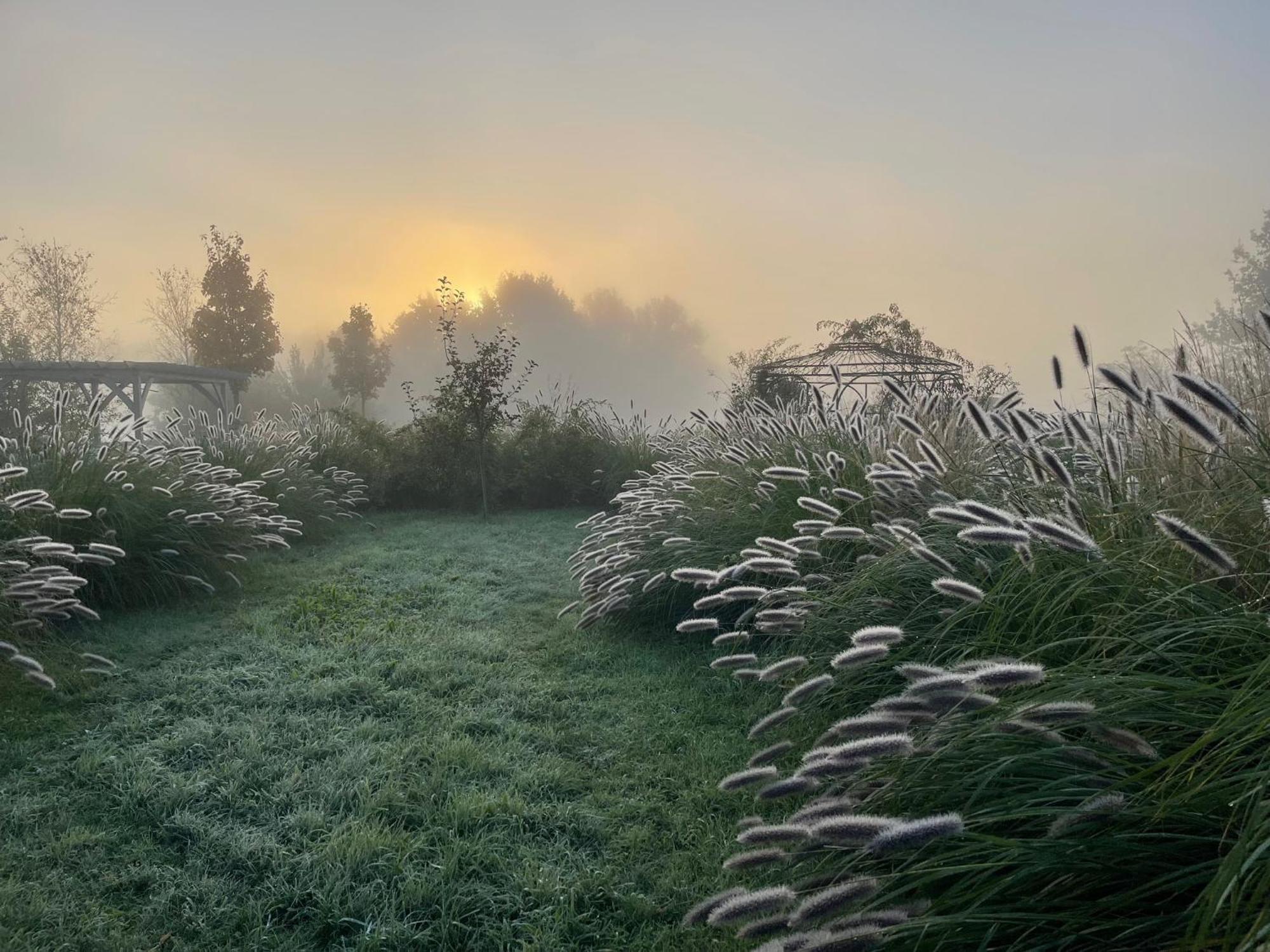 Alwine - Landhaus An Den Spreewiesen Rietz Neuendorf Buitenkant foto